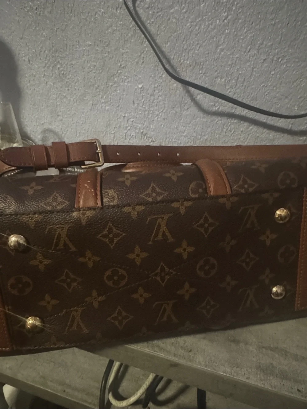 Louis Vuitton authentic louis